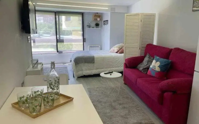 Loft centrico y reformado - ANTON ETXEA