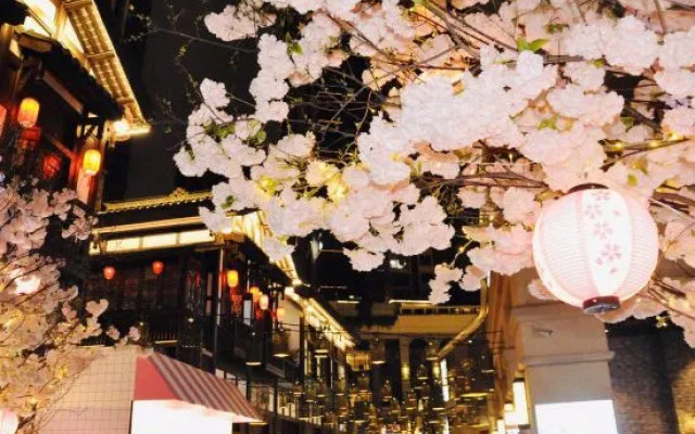fengjun yazhi Hotel (Chongqing Nanbin Road Danzishi Old Street)