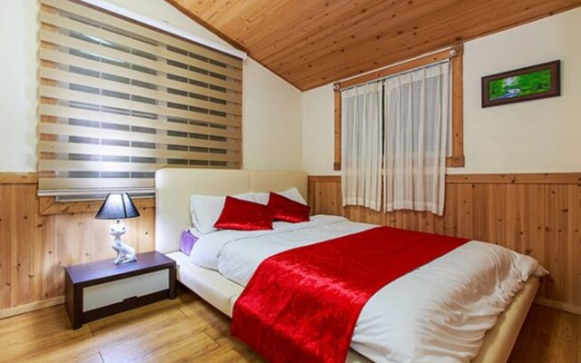Yangpyeong Alice Spa Pension
