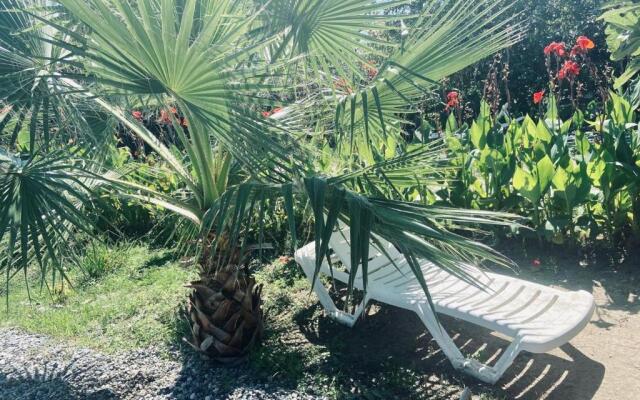 U Aleny Guesthouse
