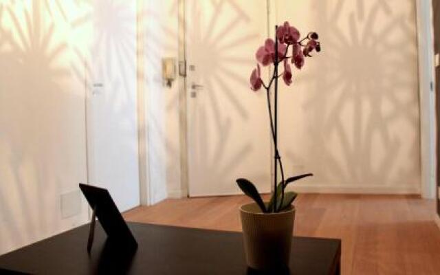 yHome | Barletta Home Apartment