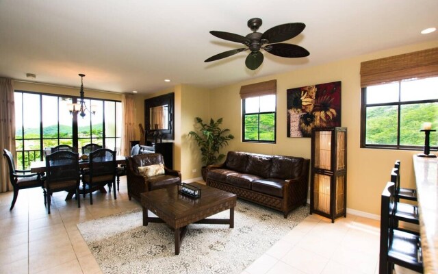 Classy artsy ocean-view unit near pool at Pacifico in Coco sleeps 6