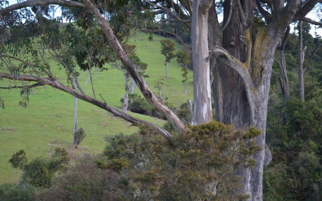 The Cloan At The Catlins