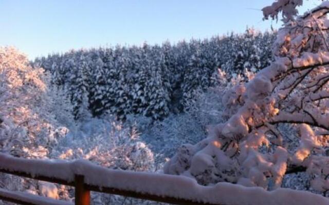 The Green Pine Chalet