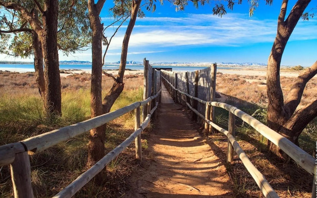 Modern beach apartment