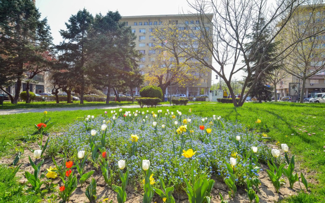 Bucharest Central Apartments & Suites