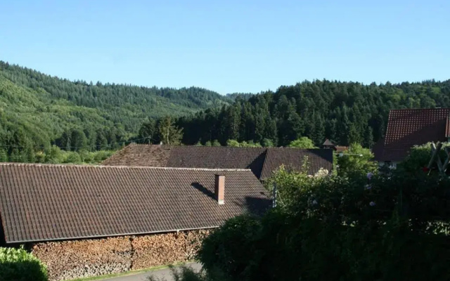 Ferienwohnung Höhner