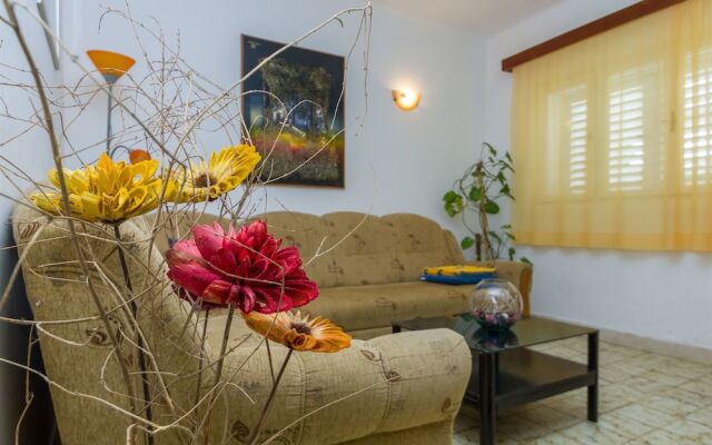Apartment Petar