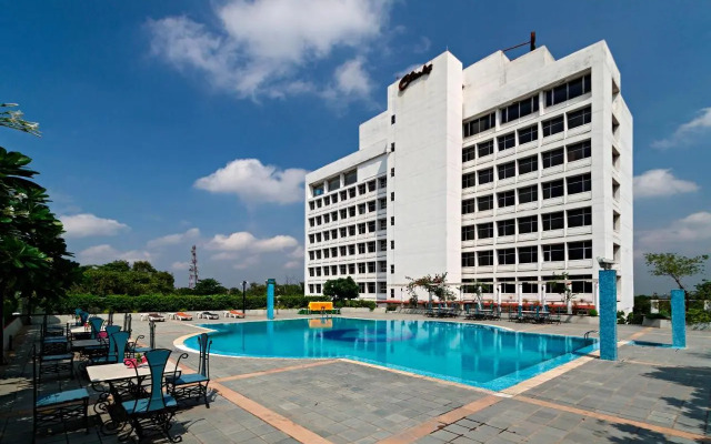 Clarks Avadh