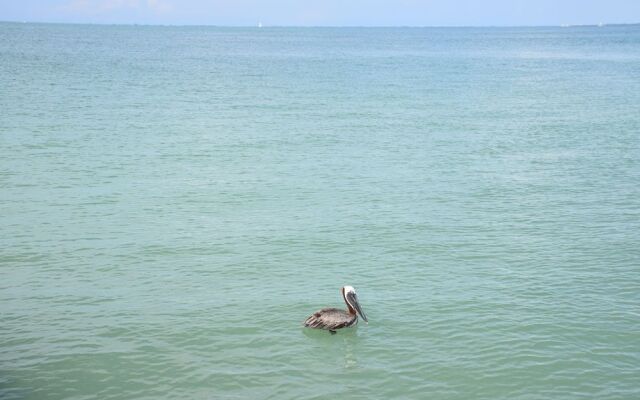 Runaway Bay Resort by BBG