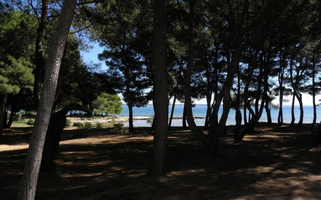 Vink - 80 m From Beach - A2
