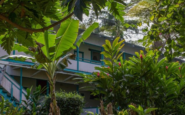 Wild Ginger Inn Hotel & Hostel