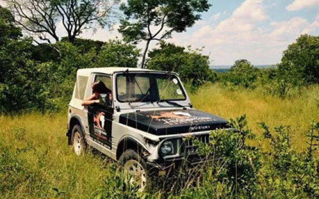 Livingstone Backpackers