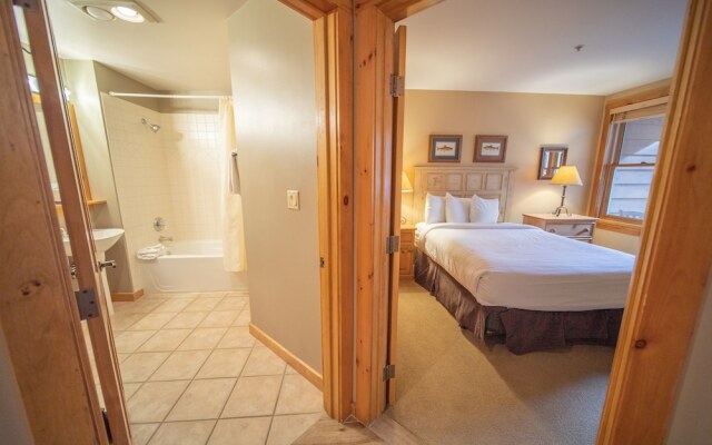 Buffalo Lodge 8320 by SummitCove Vacation Lodging