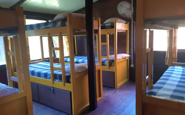 El Viajero La Pedrera Hostel & Suites