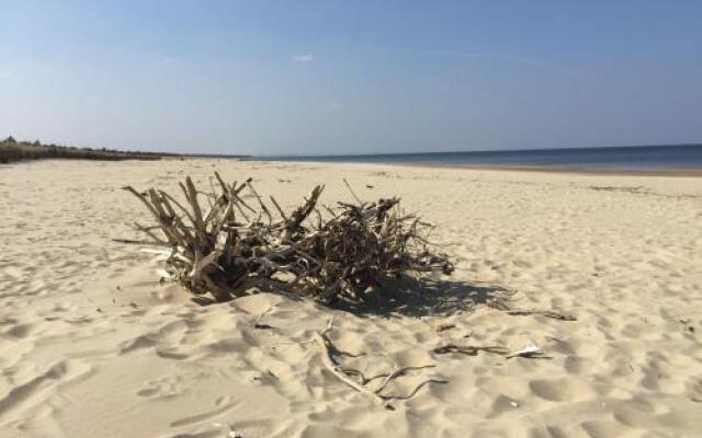 Bajkowa Plaża - Muszelka