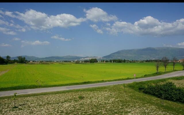 Fattoria Didattica Le Torte