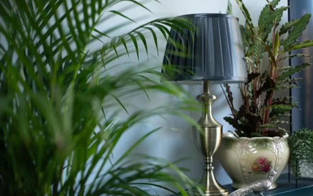 Unique Boutique Luxury Bed and Breakfast