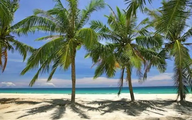 Emerald Apartment in Patong