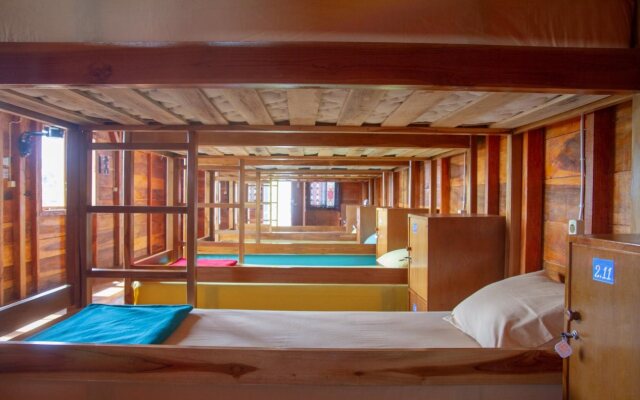 One Tree Hill - Hostel