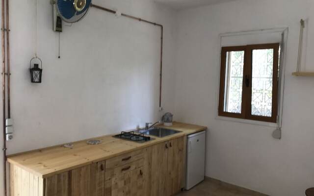 Farm House in Bio Orange Plantation