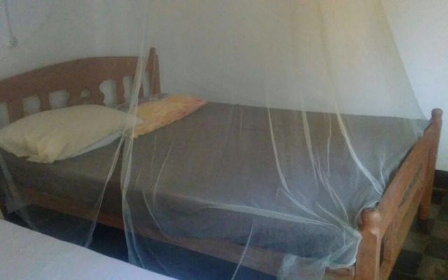 The Sleeping Dog Hostel