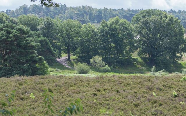 Wooden Holiday Home with Microwave near Brunssummerheide