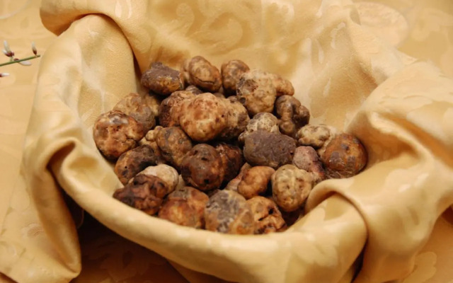 Agriturismo Santa Barbara Country House