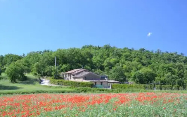 Casa Nestore Holiday Apartments