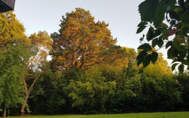 T3 avec sa terrasse ensoleillée