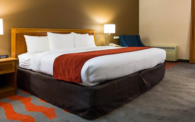 Comfort Inn & Suites Syracuse Airport