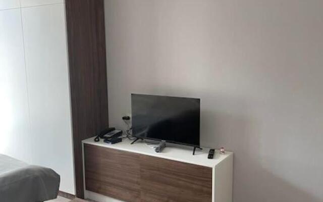 Cosy Appartment in Bakuriani