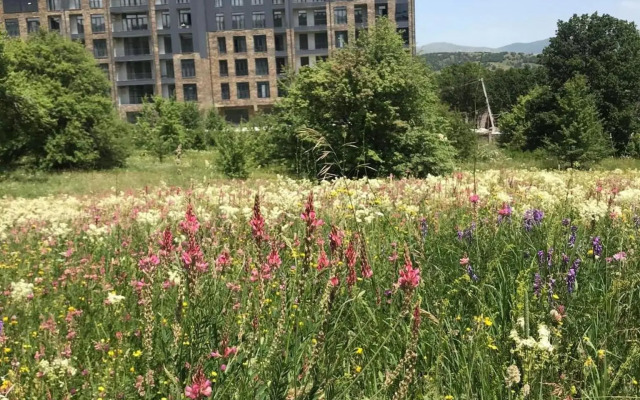 Kechi house cozy apartment