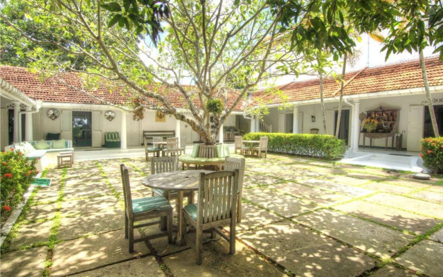 The Dutch House