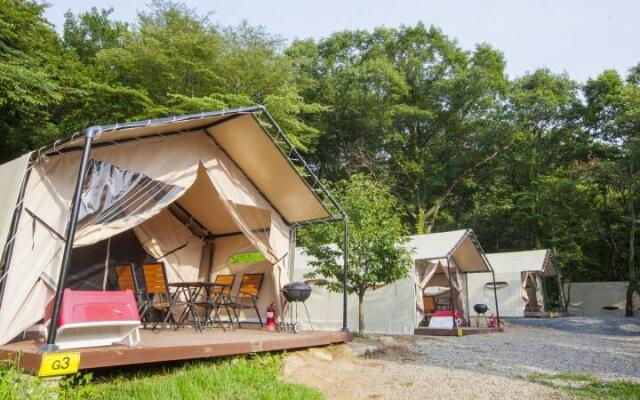 Gyeongju healing camp glamping