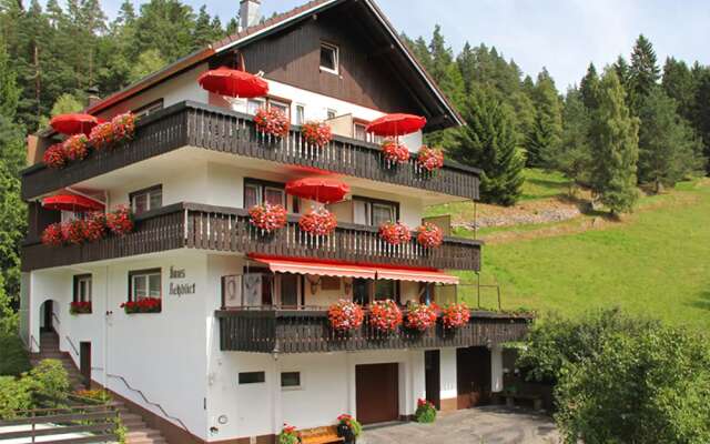 Pension Rehblick
