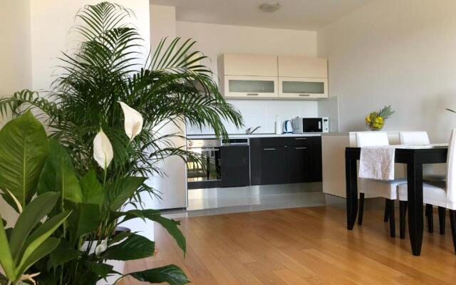 Apartment Charming