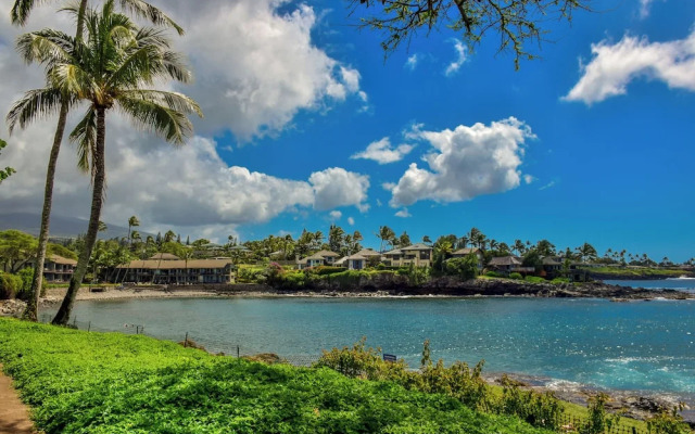 Napili Point C40