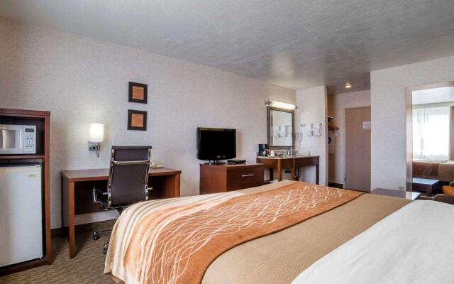 Comfort Inn Elko