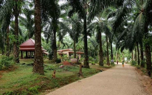 Tonpalm Farmstay