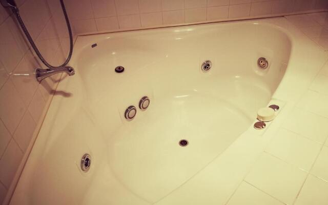 Airport Birches Motel