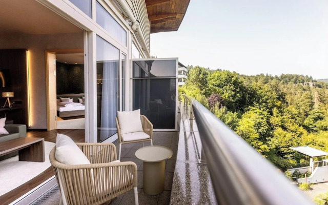 Schwarzwald Panorama