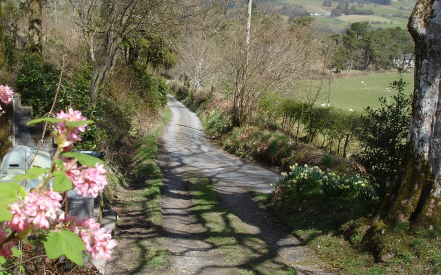 The Clochfaen