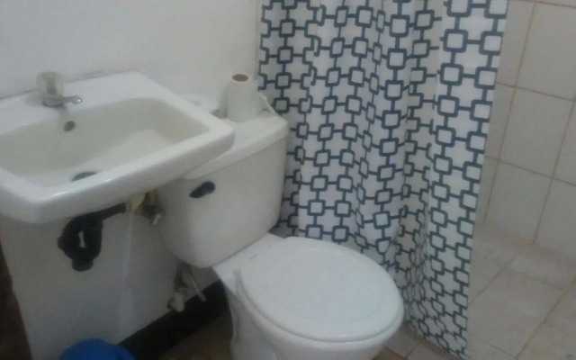 The Sleeping Dog Hostel