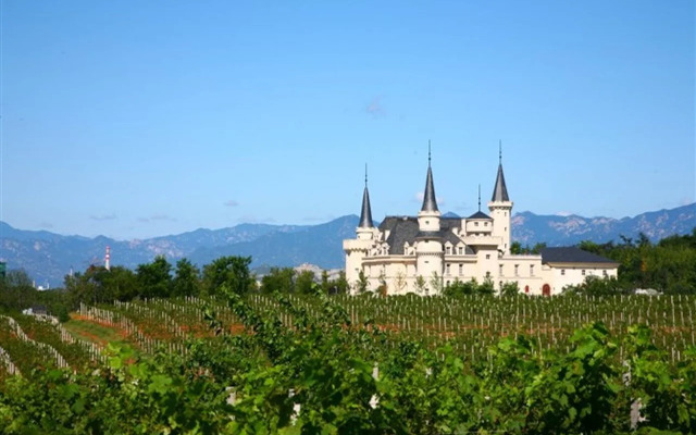 Chateau Changyu AFIP Global Beijing