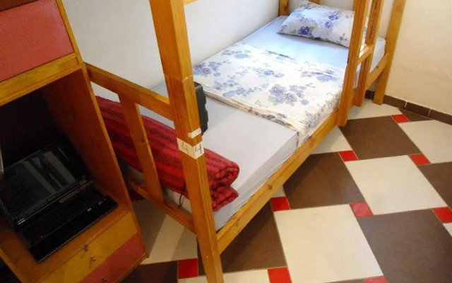 3Dogs Hostel São Paulo