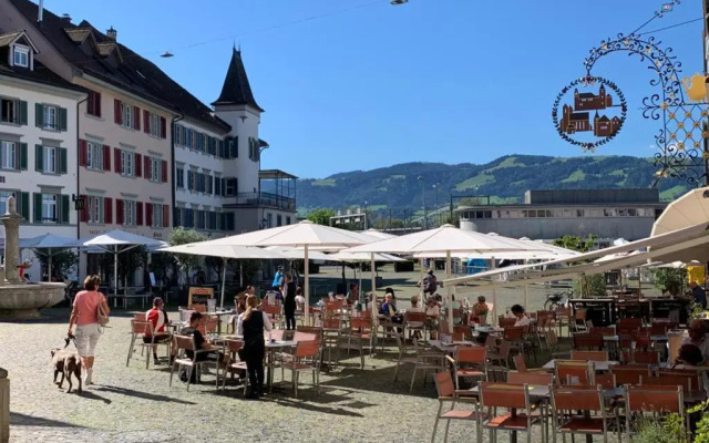 Old Town Loft & Central Location in Rapperswil
