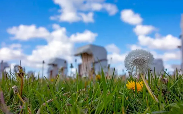 Hotel Norden Norddeich