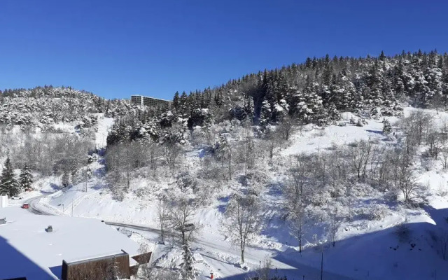 Studio Cabine Villard De Lans Cote 2000