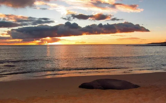 Kohala Lodge- Vacation Rental House